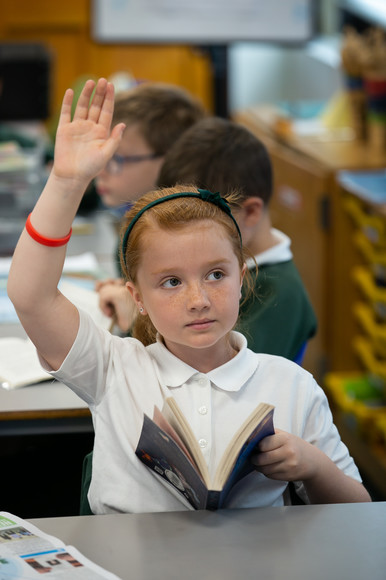 Barnes Farm Junior School Chelmsford Learning Partnership