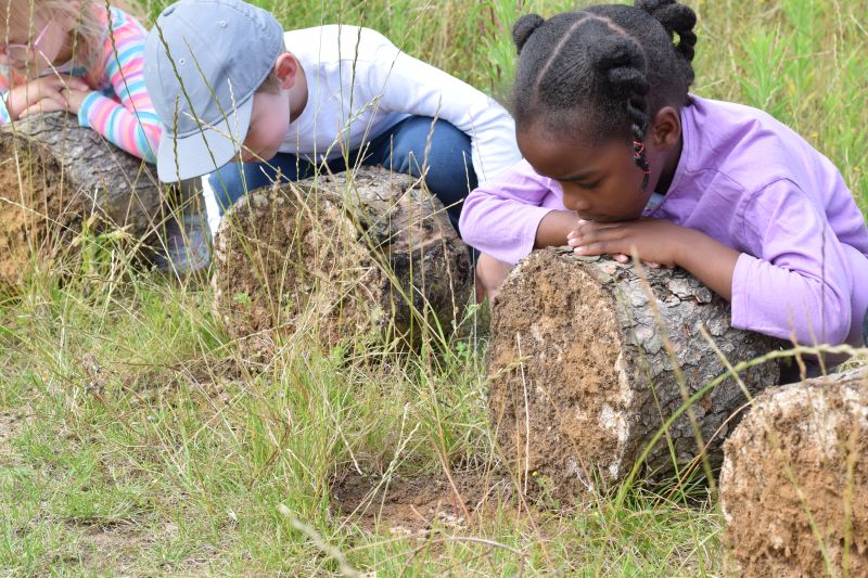 Nature school